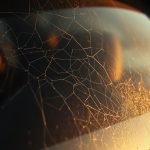 Auto Glass and Resale Value