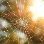 Sunroof glass repair